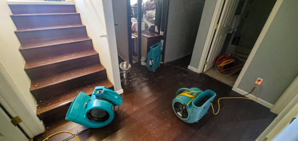 Best Flood damage cleanup  in Rosita, TX